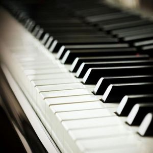 美国大片ppt免费少女
