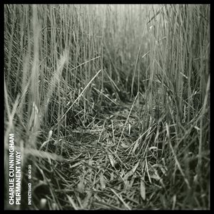 美国大片ppt免费少女
