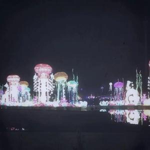 美国大片ppt免费少女
